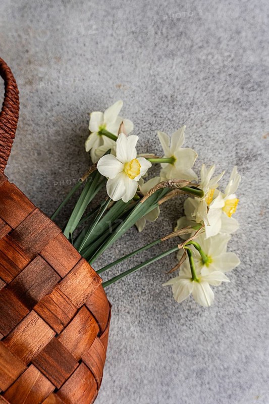 From above, white daffodils gently lie next to a woven wicker basket on a textured gray background, capturing a rustic and natural aesthetic