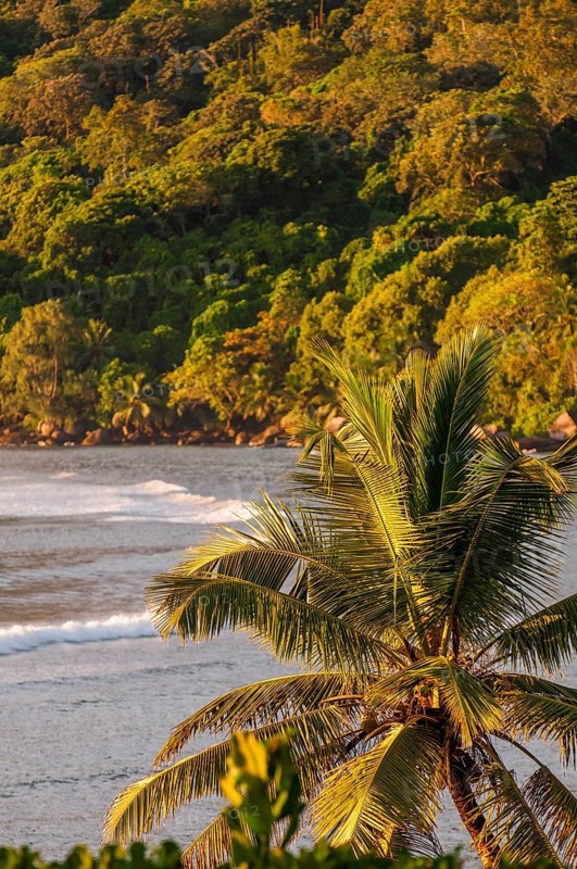 Anse La Liberte beach, Mahe, Republic of Seychelles, Indian Ocean