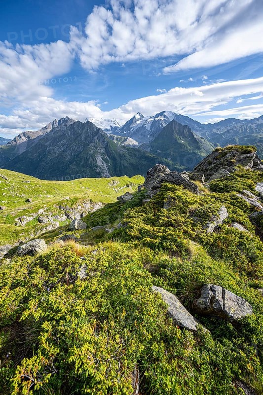 View from the Cabane du Louvie of the glaciated mountain peaks of the Grand Combine, Valais Alps, Val de Bagnes, Valais, Switzerland