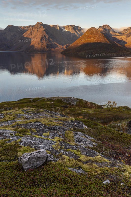 Fjord with steep mountains in autumn, morning light, clouds, Oksfjord, Finnmark, Norway