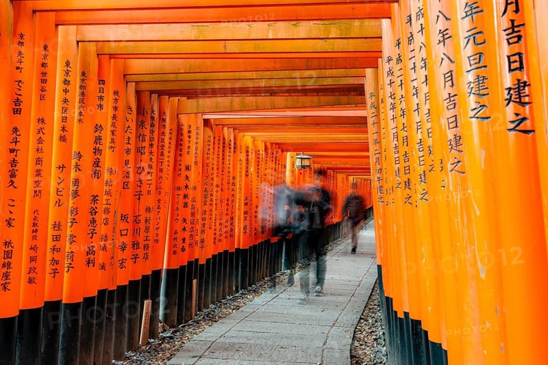 Visitors on a journey through hundreds of red traditional torii gates, Fushimi Inari-taisha, Shinto shrine, long exposure, motion blur, Fushimi Inari-taisha Okusha Hohaisho, Kyoto, Japan