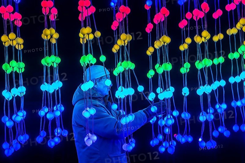 Park lights, winter event, in the Grugapark in Essen, many different light installations, across the park, attract many thousands of visitors, light work of art consisting of many hundreds of hanging ball lamps, LEDs, with changing colors, accessible, North Rhine-Westphalia, Germany