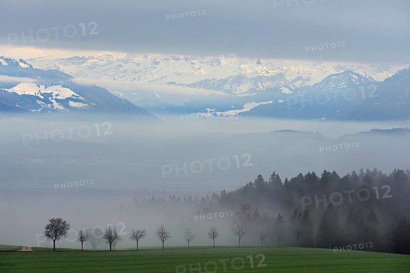 Landscape covered in fog, snow-covered Alps behind, Beinwil, Freiamt, Horben, Lindenberg, Aargau Canton, Switzerland