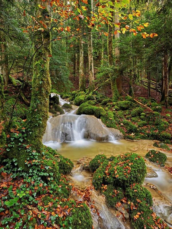 Waterfall surrounded by moss-covered stones in autumnal coloured surroundings, on the river Sihl, Sihlsprung, Menzingen, Canton Zug, Switzerland