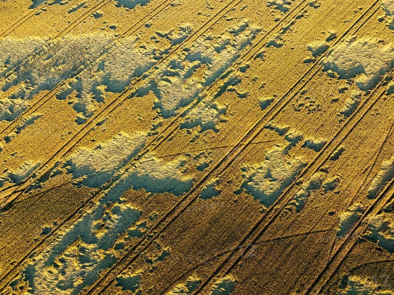 Close-up aerial of cultivated fields in Macerata, Italy, showing lines and textures from agricultural activity under evening light