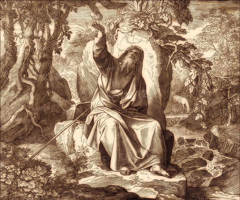 Ravens Feed Elijah, Old Testament, by Julius Schnorr von Carolsfeld