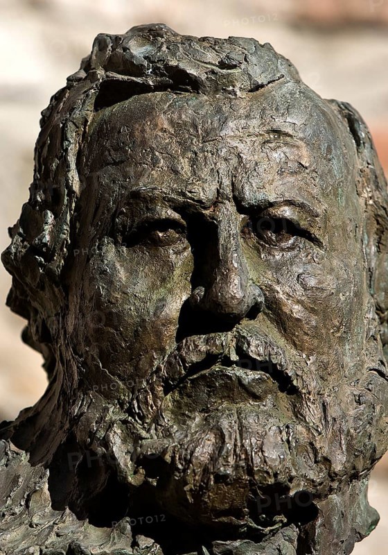 Portrait head Carl Vogt by Thomas Duttenhoefer, bronze, green patina, Giessener Köpfe, Altes Schloss Giessen, Hesse, Germany