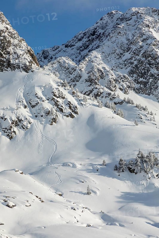 Pristine snow-covered mountain with fresh snowboard tracks weaving through small trees and rugged terrain under a bright blue sky