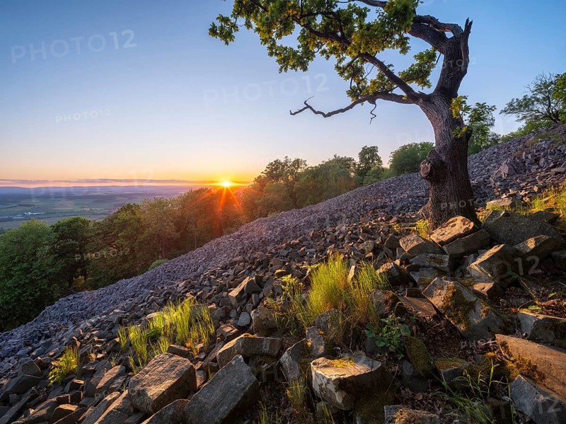 Blockheap and oak on the Kleiner Gleichberg at sunset, former Celtic oppidum Steinsburg, view over the landscape of the Thuringian Rhön, Römhild, Thuringia, Germany