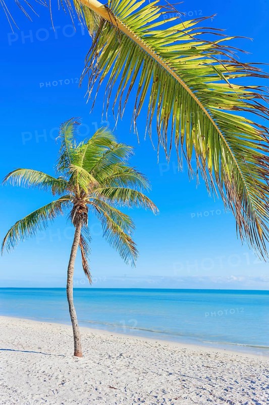 Smathers beach, Key West, Florida, USA