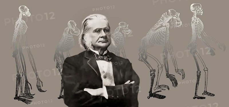Portrait of Thomas Henry Huxley, 1825 – 1895, English biologist and anthropologist, specialized in comparative anatomy, frontispiece to his book „Evidence as to Man's Place in Nature“, 1863, digitally edited