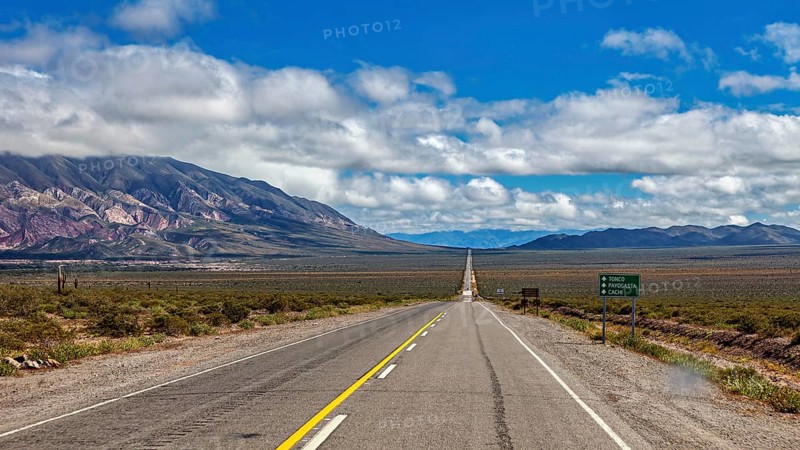 Endless road runs straight ahead through a dry landscape with mountains in the background and clouds in the sky, The landscape of the Quebrada with its large cacti near Salta in Argentina, Cardón cactus (Echinopsis atacamensis)