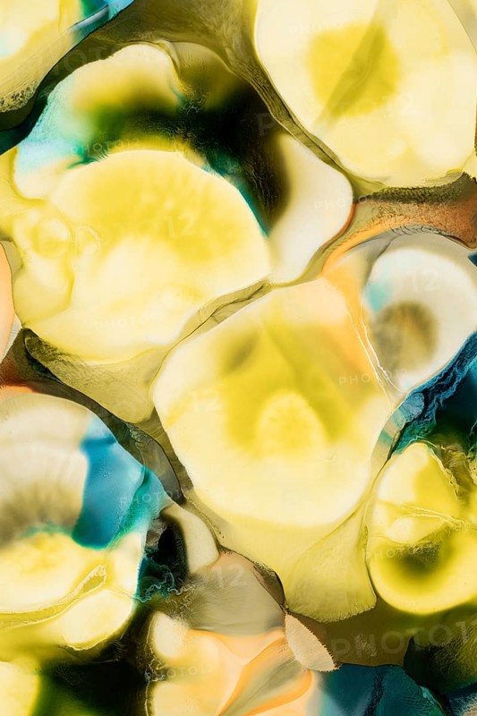 Vibrant interplay of yellow, blue, and green liquid inks merging into a fluid abstract design, evoking the natural forms and movements of organic materials
