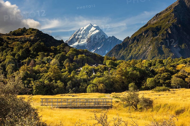 Stunning autumn view of Mount Cook in New Zealand, featuring golden foliage and majestic peaks against a clear blue sky, highlighting the beauty of nature and outdoor adventure