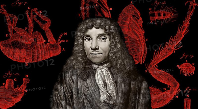 Antonie Philips van Leeuwenhoek, 1632 – 1723, a Dutch microbiologist and microscopist