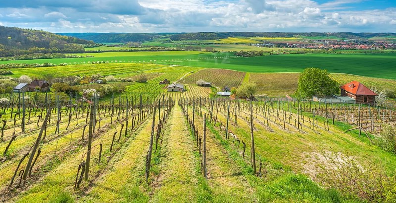 View over vineyard with vineyard cottage into the Unstrut valley, blue sky with dramatic clouds in spring, near Laucha (Unstrut), Burgenlandkreis, Saxony-Anhalt, Germany