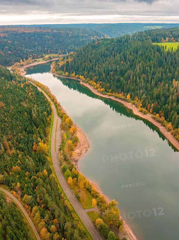 Aerial view of a river meandering through a forest with an adjacent road in autumn, Nagold Dam, Black Forest, Germany