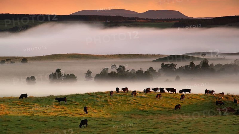 Europe, Scotland, Great Britain, England, landscape, CairnGorm Mountains, mountain group, fog atmosphere, Cairngorm Mountains