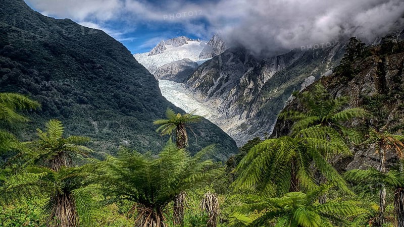 New Zealand, South Island, Franz Josef Glacier, Westland, National Park, National Park, New Zealand