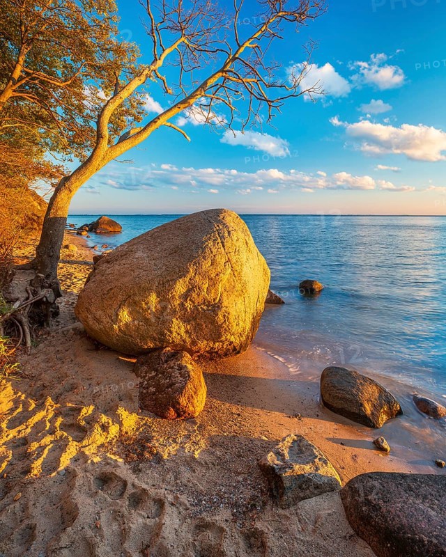 Coastal landscape with large boulders on the Baltic Sea beach in the evening light, Mönchgut Nature Reserve, Groß Zicker, Mönchgut Peninsula, Rügen Island, Mecklenburg-Western Pomerania, Germany