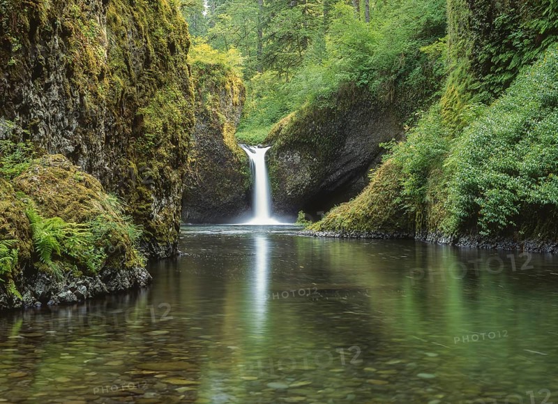 A picturesque waterfall cascades into a tranquil pool, surrounded by lush green foliage and moss covered rocks, creating a serene and refreshing natural landscape