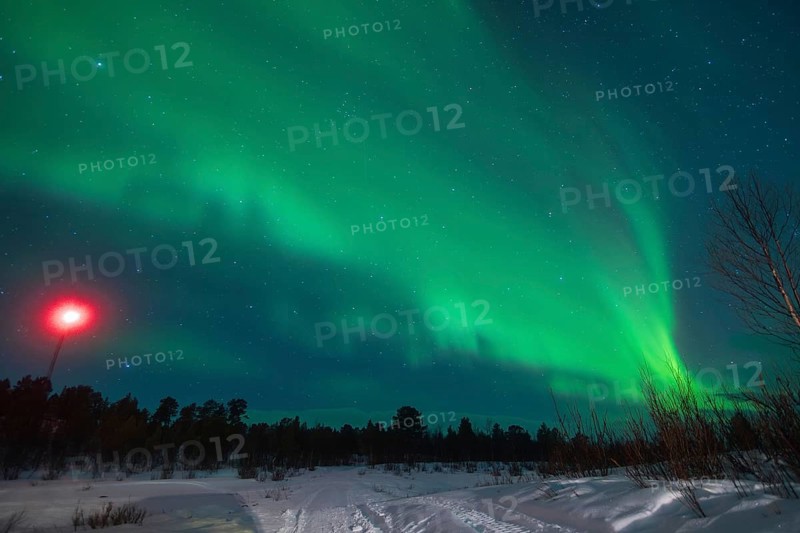 Captivating view of the Aurora Borealis shimmering above a snow-clad landscape near Kiruna, Sweden, showcasing vivid green lights dancing across the night sky