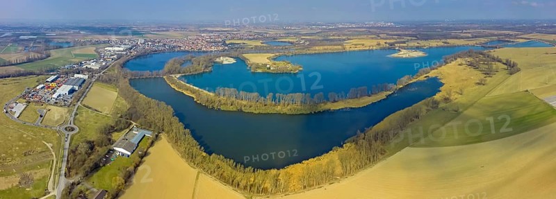 Offstein sewage ponds, ponds of a sugar factory in Rheinand-Pfalz, bird sanctuary, Roxheimer Altrhein and Silbersee, Bobenheim-Roxheim, Rhineland-Palatinate, Germany