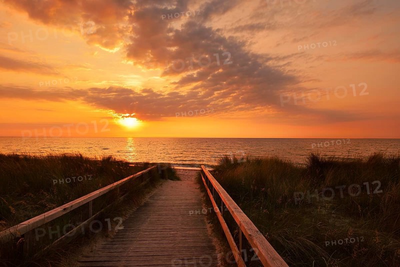 Wooden walkway through the dunes on the Baltic Sea at sunrise, Dahme, Ostholstein, Germany