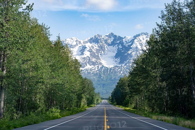 Road through taiga and mountainous landscape, picturesque landscape on Richardson Highway, Alaska, USA