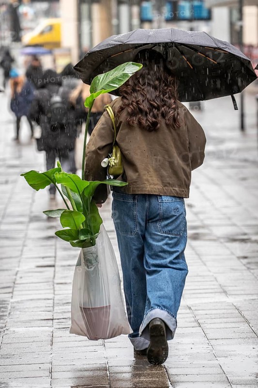 Passers-by in a pedestrian zone, Kettwiger Straße, woman with potted plant in rainy weather, city center, Essen, North Rhine-Westphalia, Germany