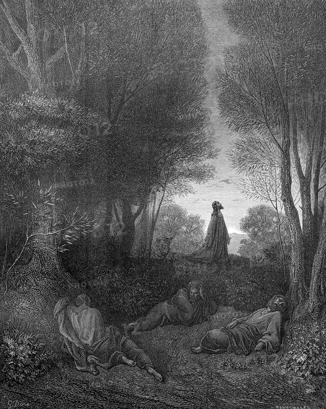 Jesus praying in the Garden of Gethsemane, Matthew chapter 26, verse 39, nature, trees, plants, praying, looking at the sky, clearing, disciples sleeping, lying, standing, Christian religion, Bible, New Testament, steel engraving Doré, historical illustration 1885