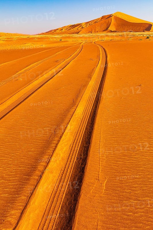 Tyre tracks in the sand, sand dune formed by the wind, in the Rub al Khali desert, Dhofar province, Arabian Peninsula, Sultanate of Oman
