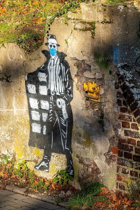 Mural on the theme of toilet paper hoarding, during the Corona crisis, on an old harbour building, part of the Rhine Side Gallery in Krefeld, North Rhine-Westphalia, Germany
