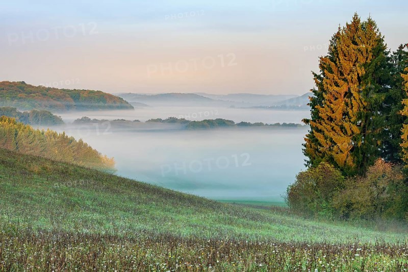 View of meadow on hilly landscape in the southern Harz at sunrise, morning fog in the valleys, near Questenberg, Harz, Saxony-Anhalt, Germany