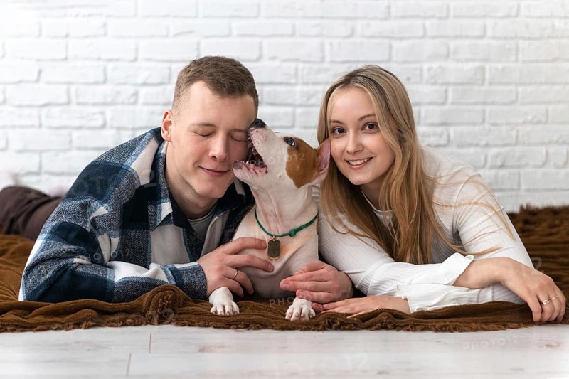 A young couple shares a loving moment with their energetic white and brown dog, lying on a cozy blanket at home, smiling