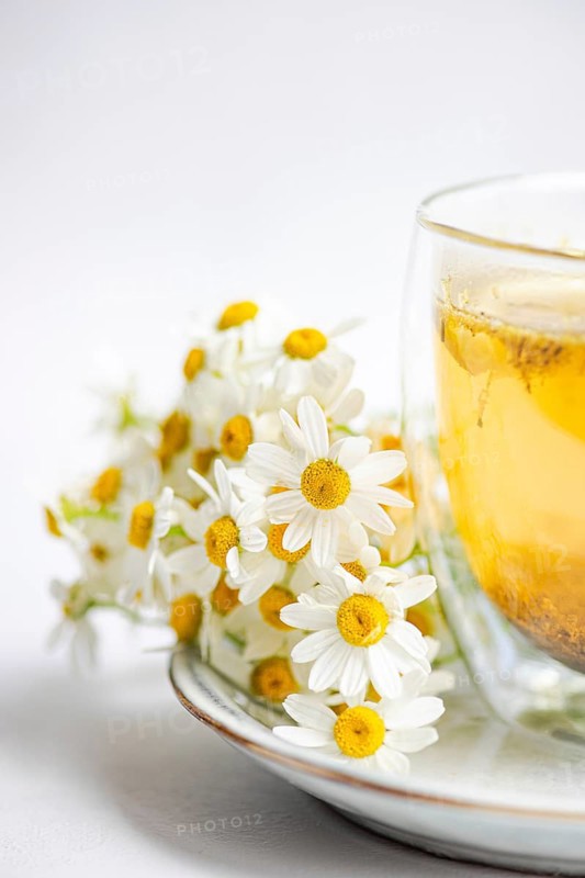 Delicate daisies rest beside a warm chamomile tea cup on a smooth ceramic plate. Set against a light interior, this scene evokes tranquility and the essence of summer