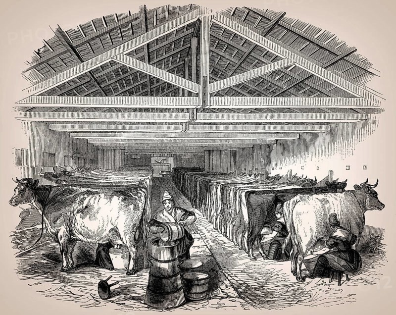 Old English cowshed, 19th century