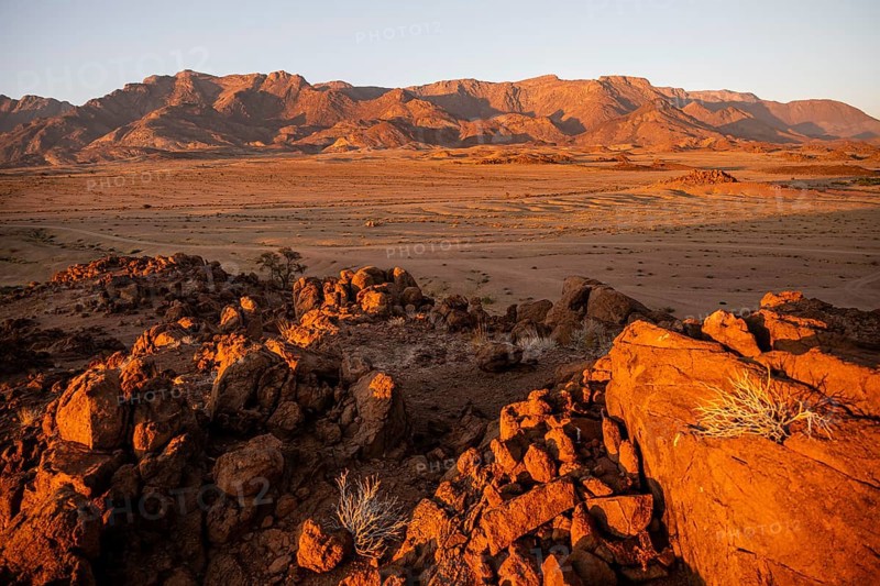 Desert landscape with Brandberg in morning light, at sunrise, Erongo, Damaraland, Namibia