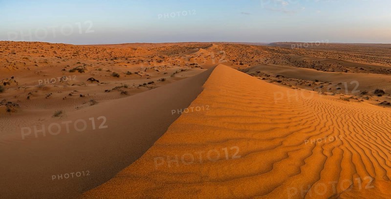 Sand dunes in the Wahiba Sands desert, Oman