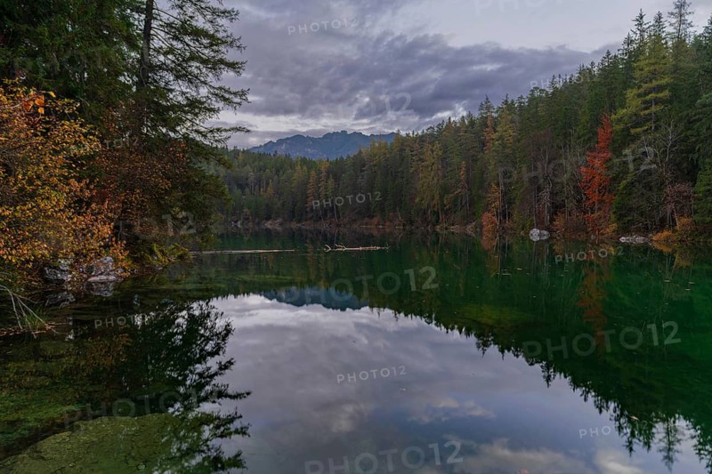 A tranquil lake in the Bavarian Alps, Eibsee, reflects the vibrant colors of autumn Dense forest borders the lake, creating a peaceful and picturesque scene