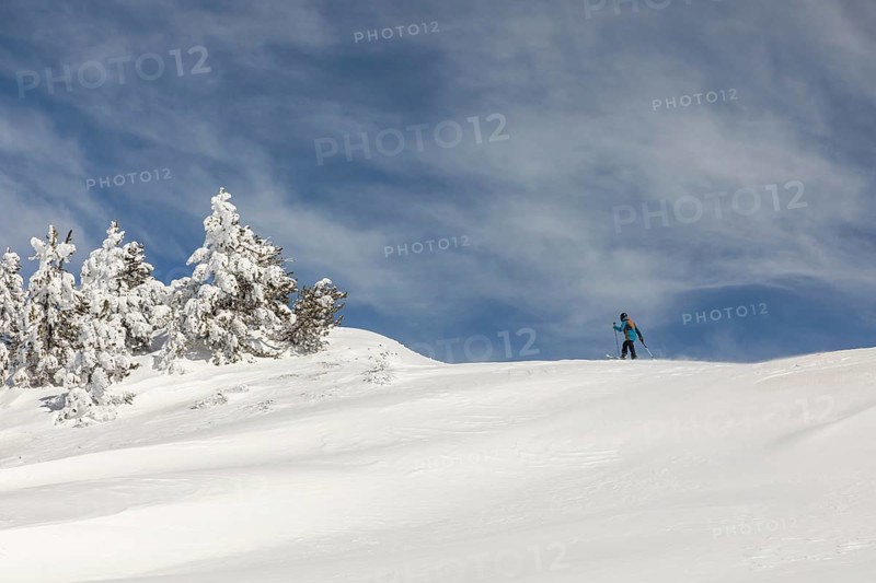 Side view of an unrecognizable person snowboarding down a pristine snowy hill, with snow-covered trees and a bright blue sky in the background