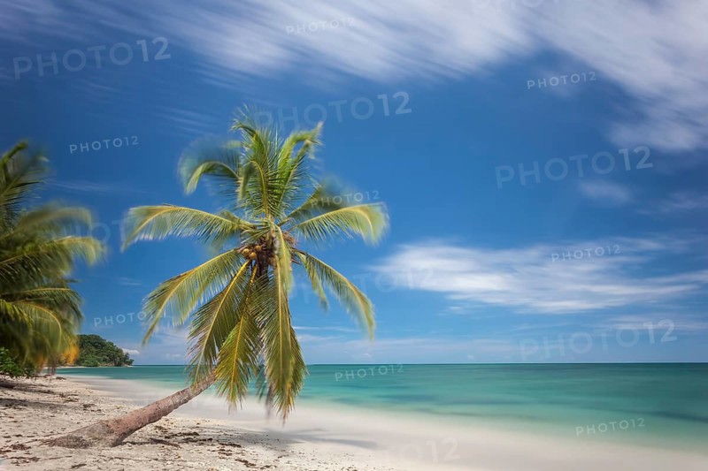 Cahuita National Pak on Costa Rica's Caribbean coast has beautiful, largely secluded beaches. I used a 2 minute exposure at midday (product of a polarizing filter and a neutral density filter) in attempt to capture a breezy, peaceful image that reflects the classic Caribbean vibe of the park and the surrounding area