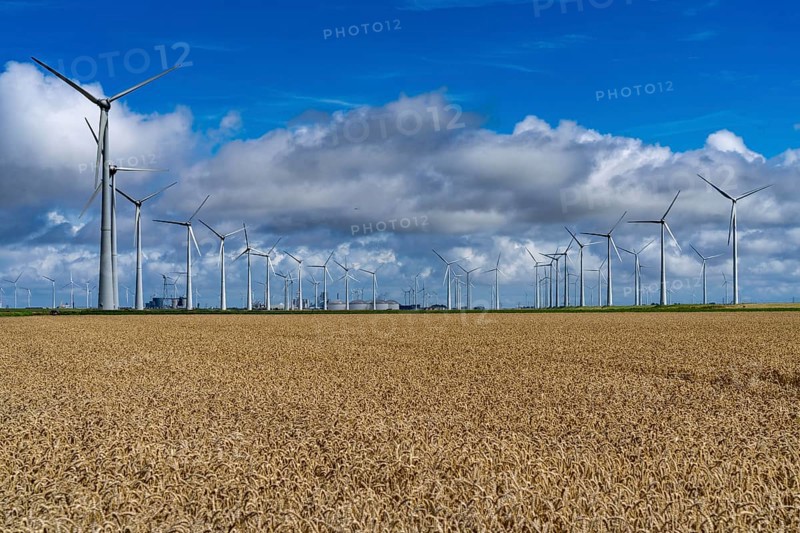 Wind farms Westereems and Growind, in the north of the Netherlands, near Eemshaven, energy centre, in addition to wind energy there are coal and gas-fired power plants and various energy infrastructure facilities, Netherlands