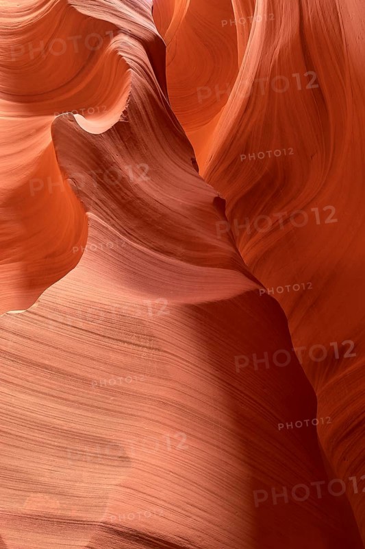 Fascinating sandstone formations in Antelpoe Canyon, showing soft, wave-like structures, Antelope Canyon, Arizona, USA