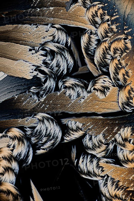 A stunning close-up image showcasing the intricate details of Salicylic acid microcrystals, captured under a microscope in black and white