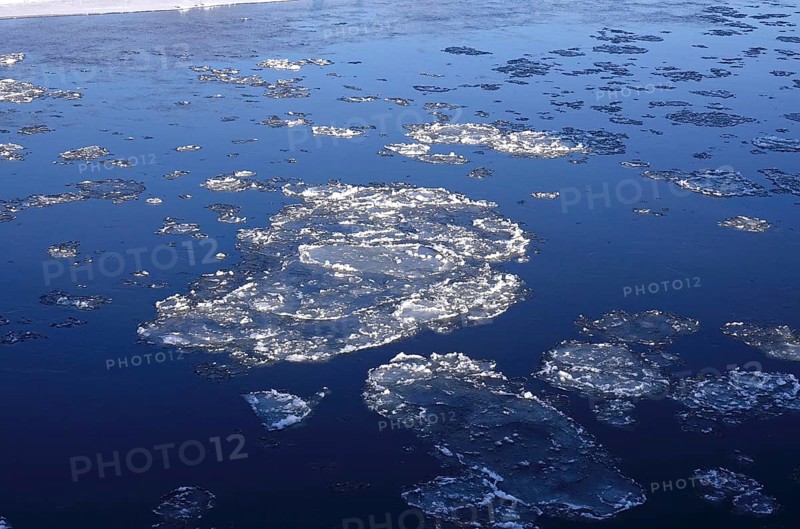 Elbe with ice floes, winter, Dresden, Saxony, Germany