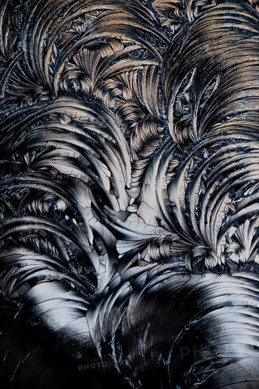 A detailed of micrograph showcasing the intricate, feather-like formations of salicylic acid microcrystals, captured under a microscope