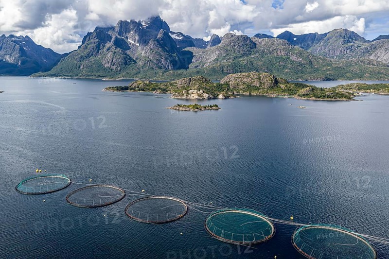 Cages of a salmon farm, at Raften at the Raftsund, the waterway between Lofoten and Vesteralen, aerial view, Norway