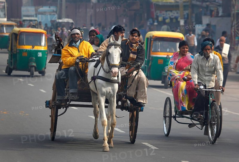 New Delhi, India, 15.01.10 - Horse-drawn carts, rickshaws and tuk tuk taxis on a street in New Delhi, India