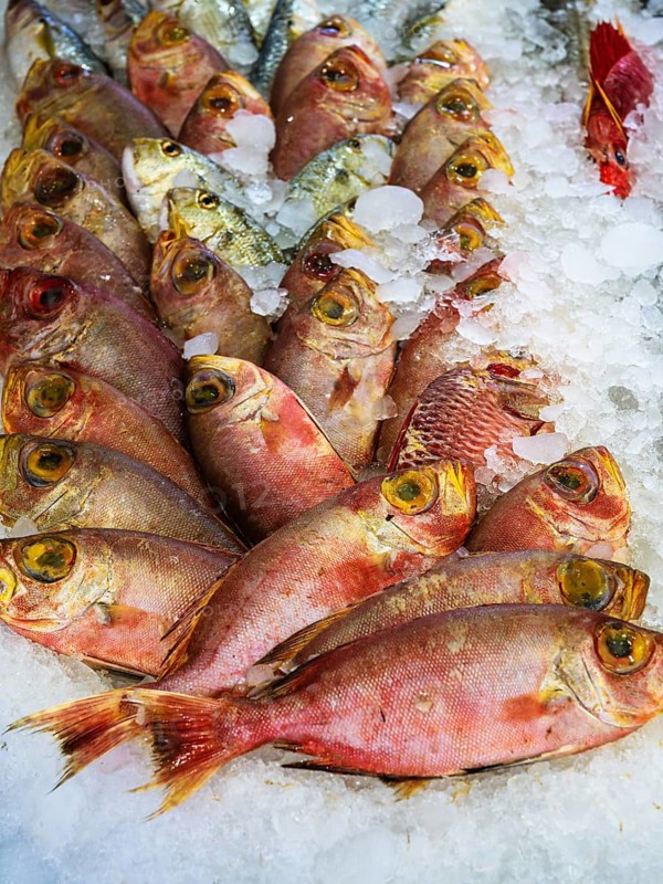 Red Sea Fish, Fish Market in Hurghada, Egypt